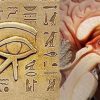The Pineal Gland: One of the Biggest Secrets Kept from Humanity